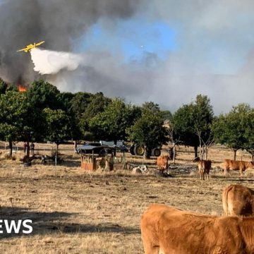 Spain counts the cost of “nightmare” wildfire summer