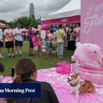Hong Kong’s Pink Dot to hold online concert after bid to hire Art Park declined