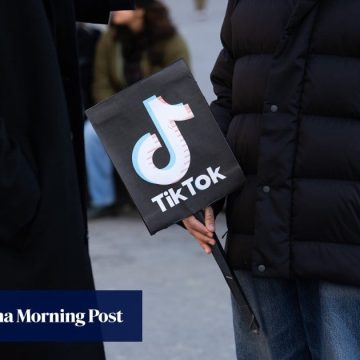 US TikTok deal gives Americans 6 of 7 board seats: White House