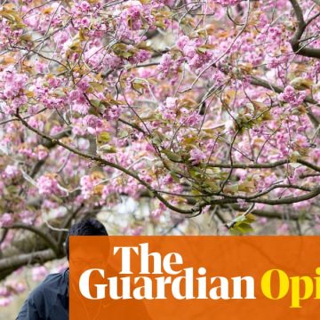 Let’s stop asking why women aren’t having children and ask, for once: why aren’t men? | Rhiannon Lucy Cosslett