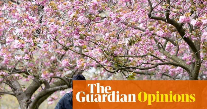 Let’s stop asking why women aren’t having children and ask, for once: why aren’t men? | Rhiannon Lucy Cosslett