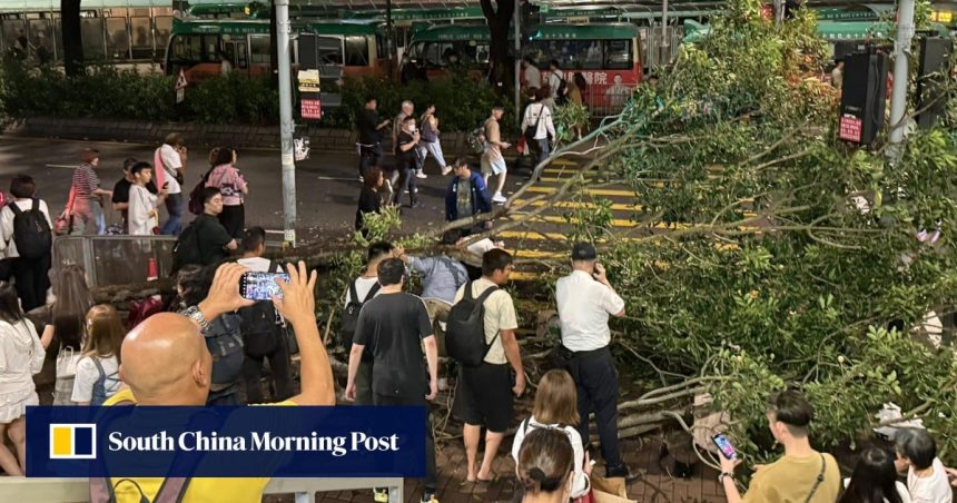 4 hurt as tree topples near Hong Kong railway station