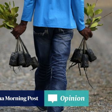 Opinion | Asia must enlist nature’s defences against fury of extreme weather
