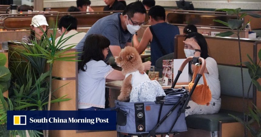 Calls for clear licensing rules if dogs allowed into Hong Kong restaurants