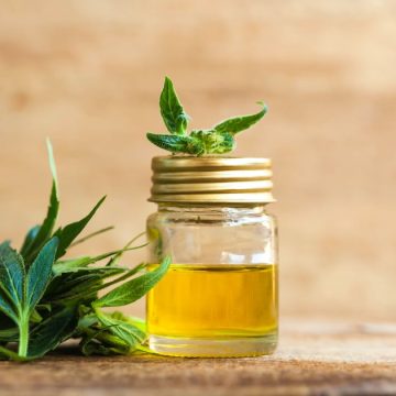 Cannabis Stocks Surge After Trump Endorses Cannabidiol for Seniors