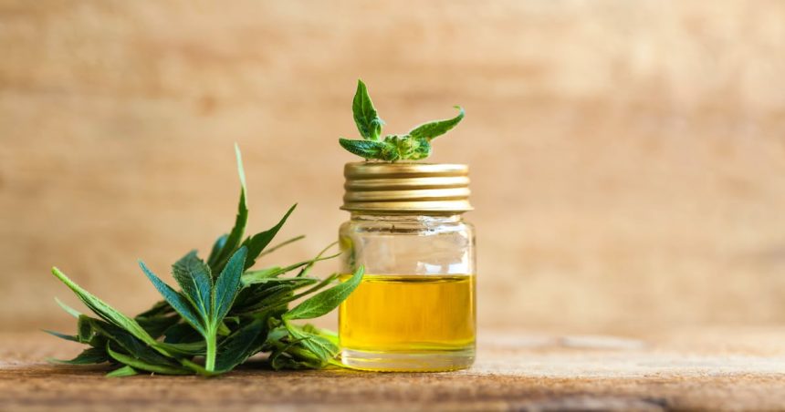 Cannabis Stocks Surge After Trump Endorses Cannabidiol for Seniors