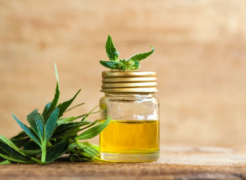 Cannabis Stocks Surge After Trump Endorses Cannabidiol for Seniors