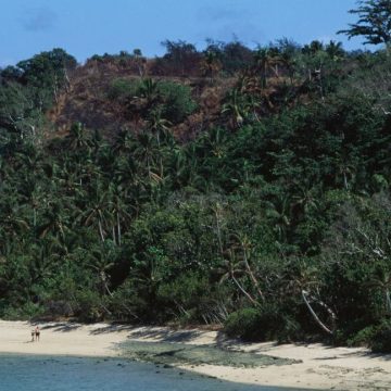 A white sandy beach with a tropical forest looming over it. Two humans are walking on the beach, and their small apparent size gives a sense of the scale of the forest.