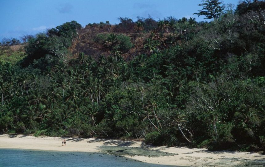 A white sandy beach with a tropical forest looming over it. Two humans are walking on the beach, and their small apparent size gives a sense of the scale of the forest.