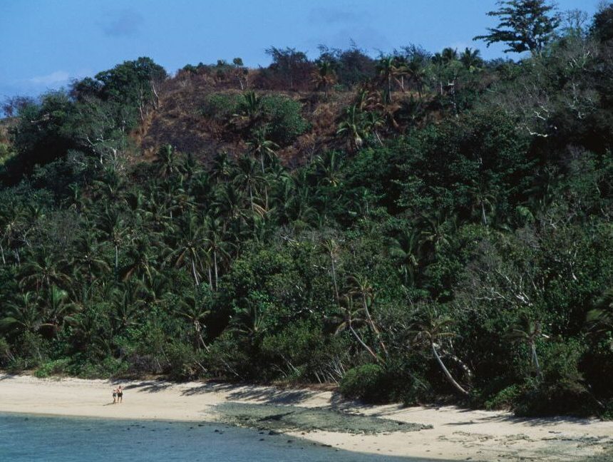A white sandy beach with a tropical forest looming over it. Two humans are walking on the beach, and their small apparent size gives a sense of the scale of the forest.