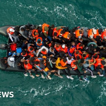 Home Office loses bid to overturn court order blocking migrant's removal