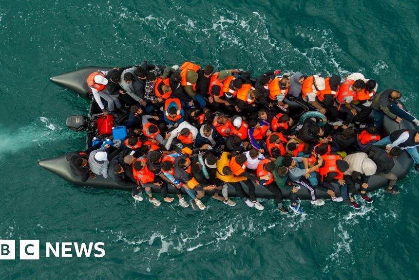 Home Office loses bid to overturn court order blocking migrant's removal