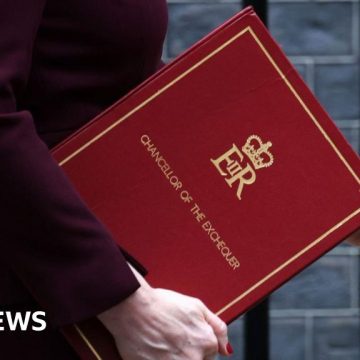 Labour peer calls for Treasury to be abolished