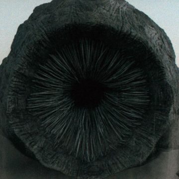 A Dangerous Worm Is Eating Its Way Through Software Packages