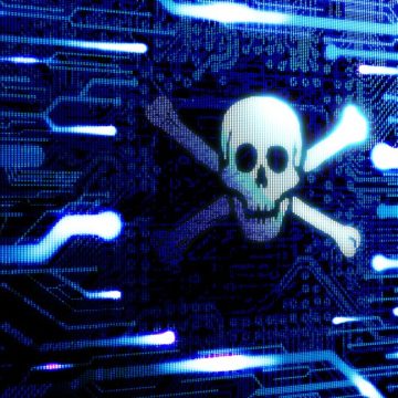 Skull and bones