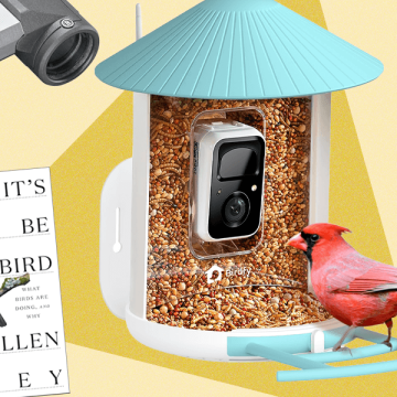 The 15 Best Tried and Tested Gifts for Bird Lovers (2025)