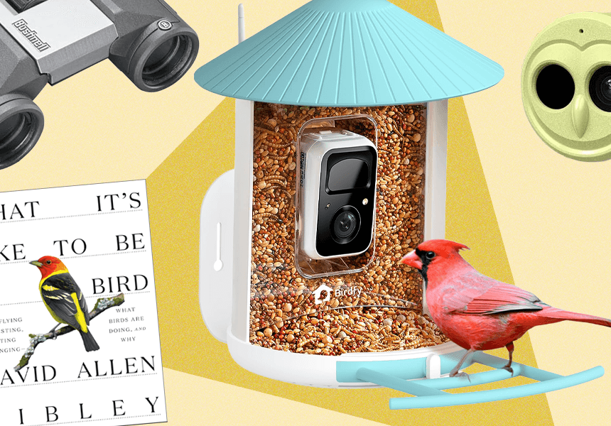 The 15 Best Tried and Tested Gifts for Bird Lovers (2025)
