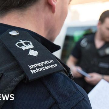 Will digital ID cards stop illegal working?