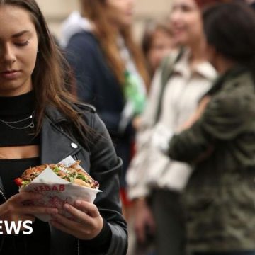 Turkey abandons food fight to force doner kebab rules on Europe