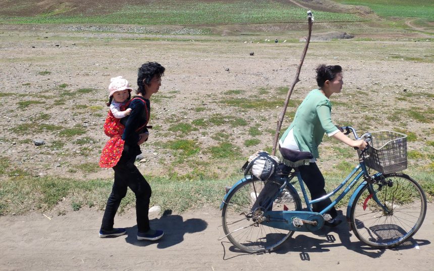 Lee government says it won’t release North Korean human rights report this year