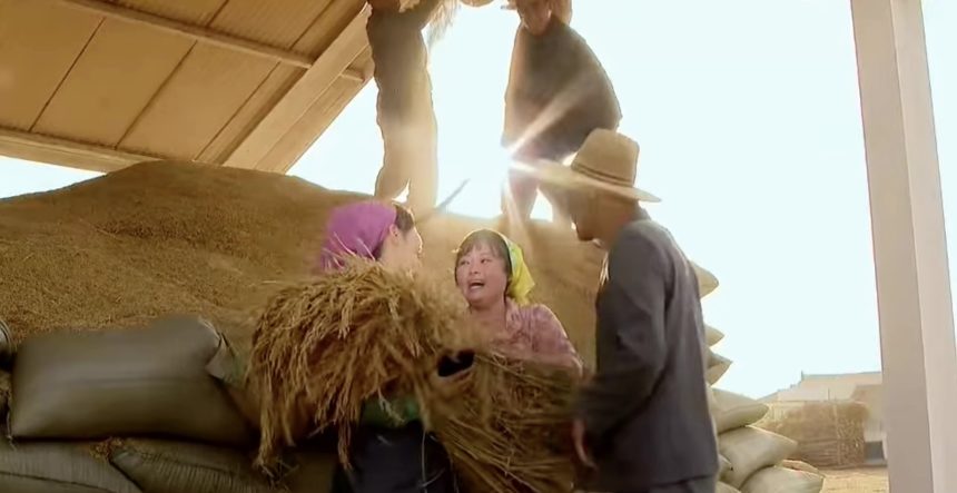 Wheat revolution: Why North Korea is singing the praises of a long-ignored grain