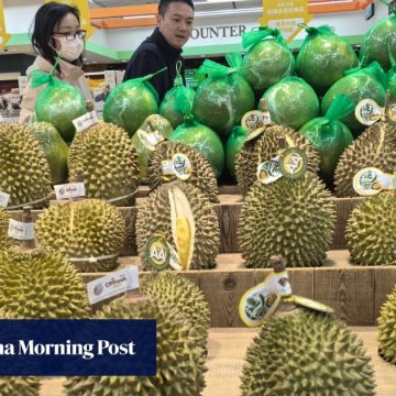 Malaysia rakes in US$1.4 billion from China durian exports, plots global expansion