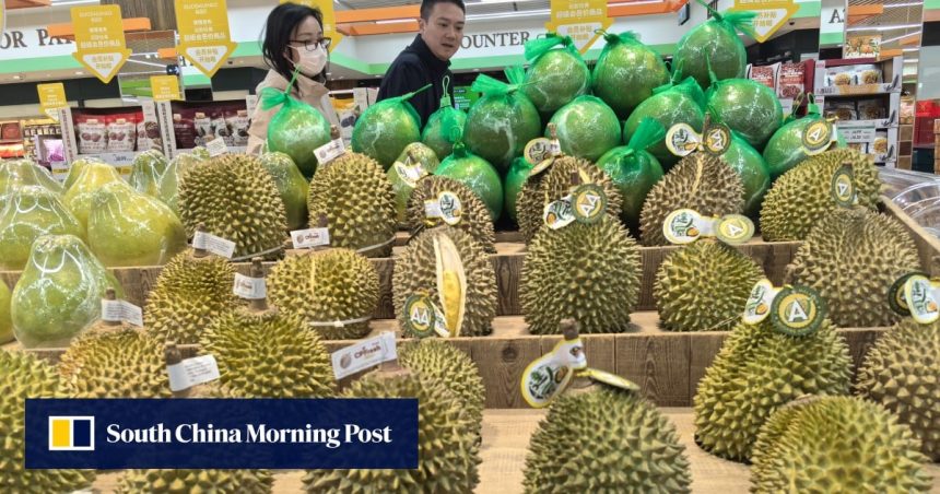 Malaysia rakes in US$1.4 billion from China durian exports, plots global expansion