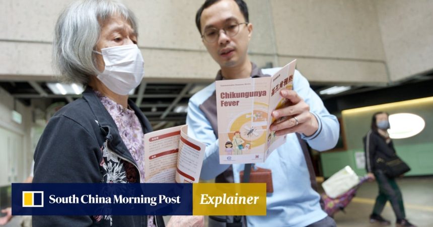 Explainer | Chikungunya fever in Hong Kong: how to stay Explainer | Chikungunya fever in Hong Kong: how to stay safe and keep the mosquitoes at bay
