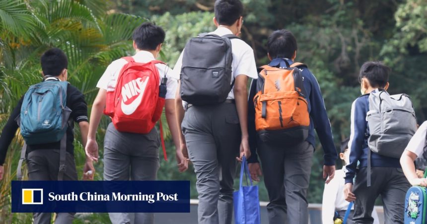 Exclusive | Hong Kong should open up public schools to Exclusive | Hong Kong should open up public schools to international pupils: university head