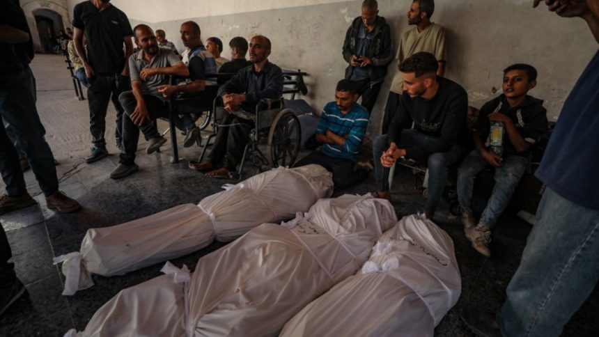 Live: Israel continues deadly attacks on Gaza, closes Rafah crossing Live: Israel continues deadly attacks on Gaza, closes Rafah crossing