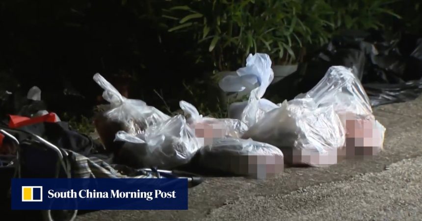 Hong Kong police hunt 4 suspects linked to butchered wild boar carcasses