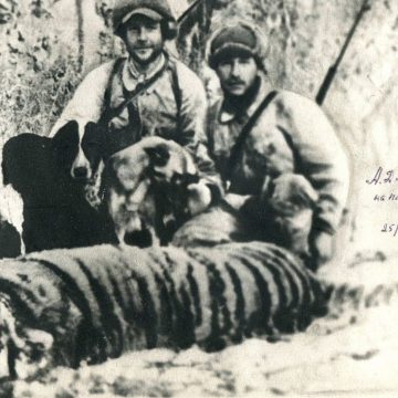 How Russian tiger hunters got roped into a plot to kill the North Korean leader