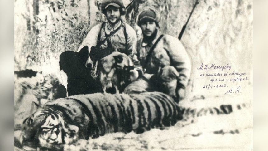 How Russian tiger hunters got roped into a plot to kill the North Korean leader