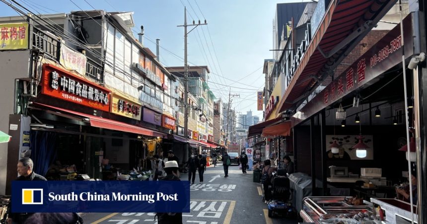 South Korea’s opposition PPP slammed for targeting Chinese through ‘xenophobic’ bill