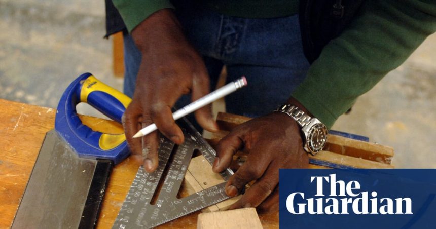 Vocational training needs more than money | Further education