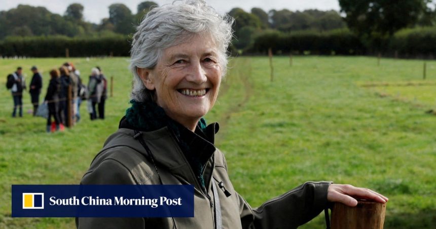 Ireland’s Catherine Connolly set to be president after rival concedes Ireland’s Catherine Connolly set to be president after rival concedes