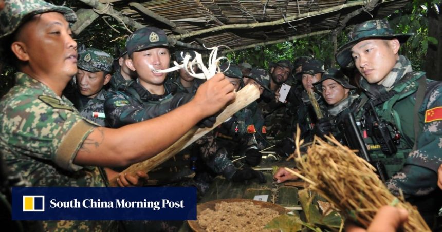 PLA announces South China Sea drill with Malaysia as Japan-Philippines exercise begins