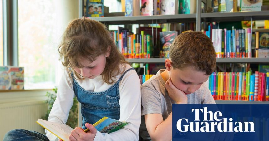 Who will run our primary school libraries? | Schools