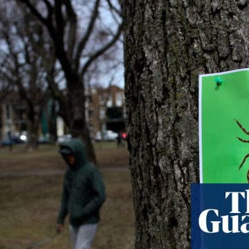 Failed by the NHS on chronic fatigue illness | Lyme disease