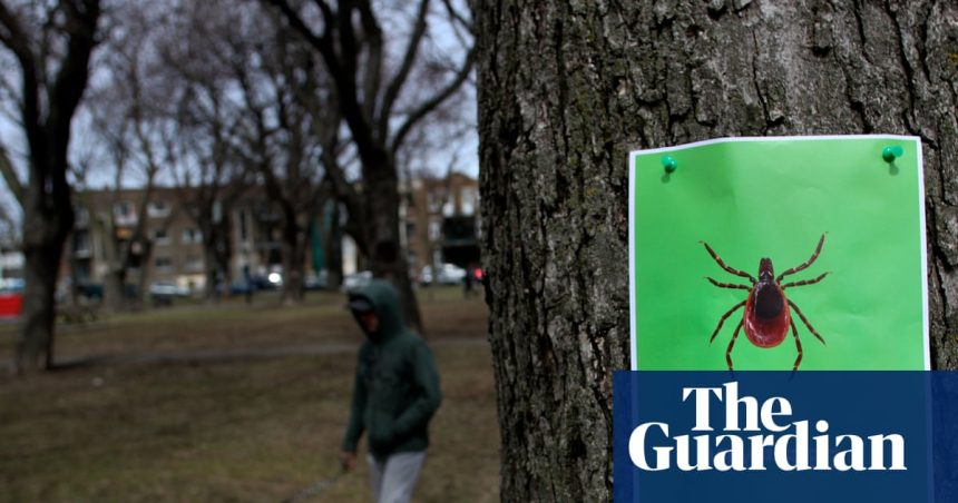Failed by the NHS on chronic fatigue illness | Lyme disease