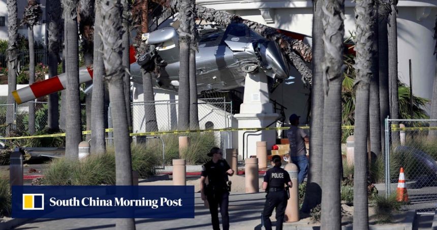 Helicopter spins out of control and crashes into palm trees, stunning beachgoers
