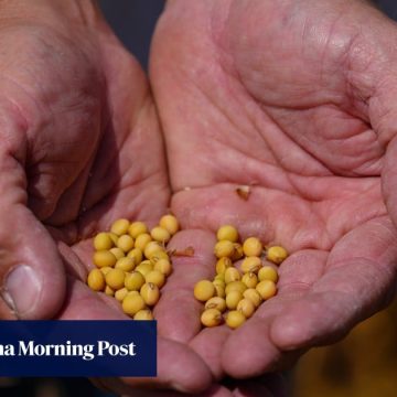 Snubbed by China: Trump team presses unlikely buyers to snap up US soybeans