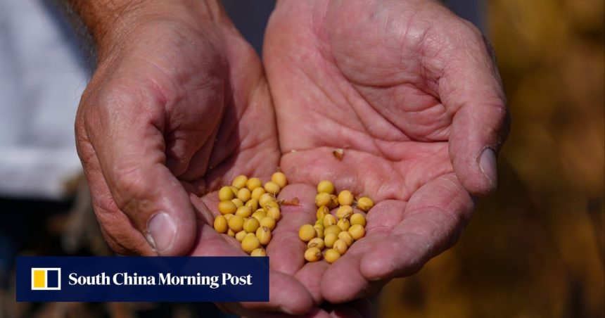 Snubbed by China: Trump team presses unlikely buyers to snap up US soybeans