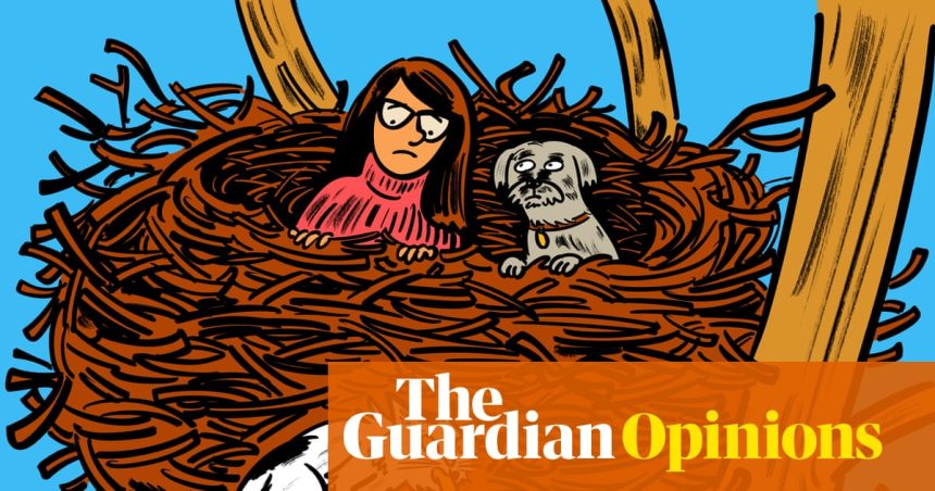 My kids gave me enough material to write TV comedy. Where will the jokes come from now they’ve left? | Helen Serafinowicz