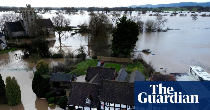 Sponge, baby, sponge to deal with flooding risks | Flooding