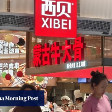 China’s struggling restaurants feeling queasy as debate rages over pre-made food
