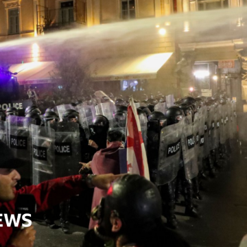Georgia protesters try to storm Tbilisi presidential palace