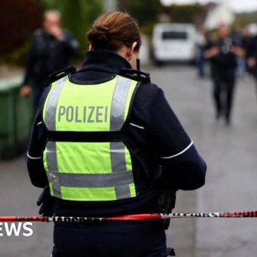 German mayor critically injured in stabbing attack, police say