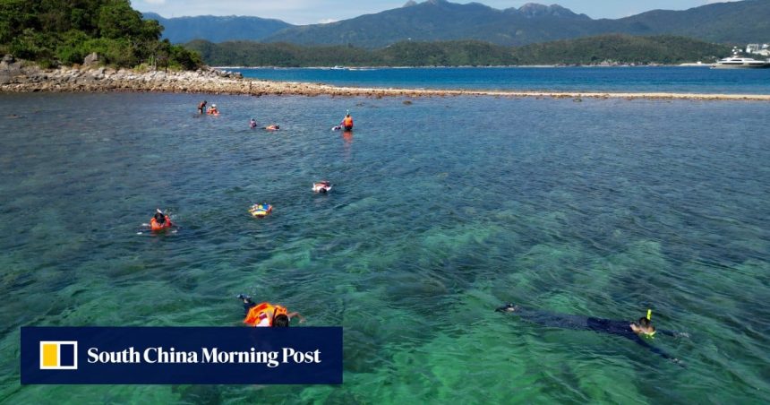 Damaged coral reefs in Hong Kong may take years to recover, green groups warn