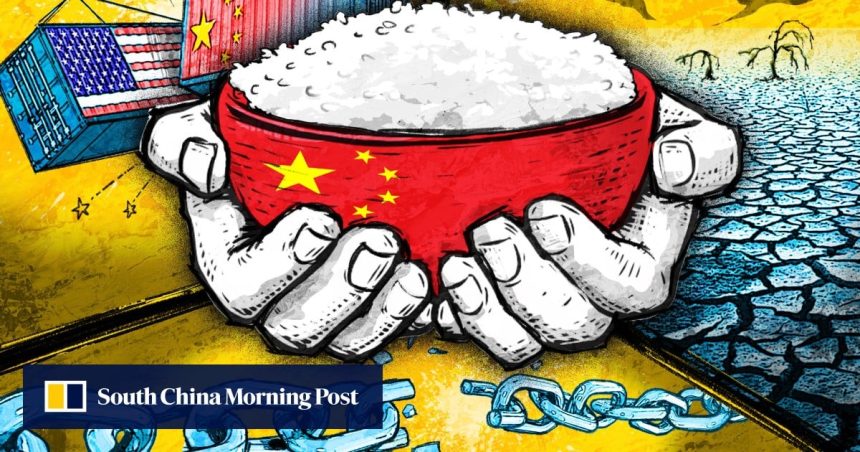 Why China’s next 5-year plan will double down on food security
